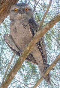 Field of Mars Reserve